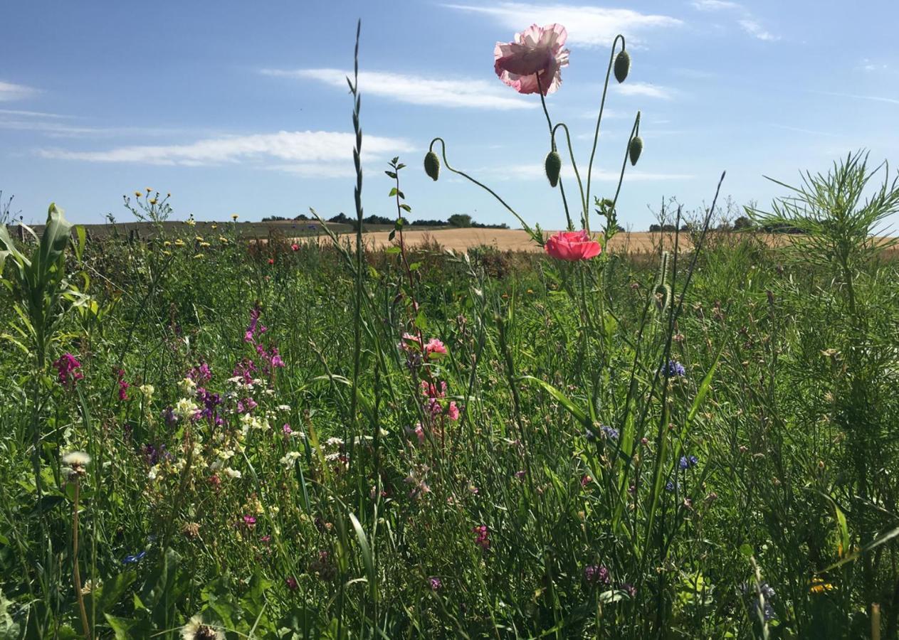 Horhaven B&B Fuglebjerg ภายนอก รูปภาพ